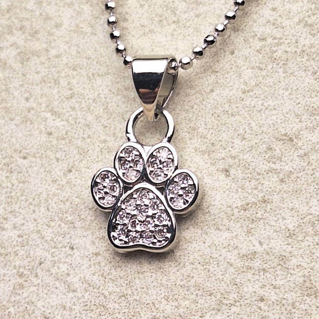 SXA130938 SILVER