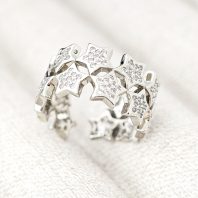 axa131098 silver